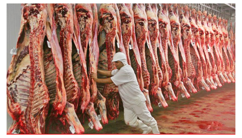 Producir más, construir marca y ganar ventajas comerciales: el próximo salto de la carne paraguaya, según la industria